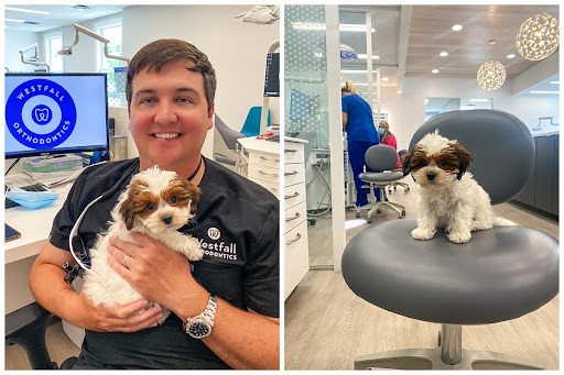 Say Hello To Molly, Our New Therapy Dog!